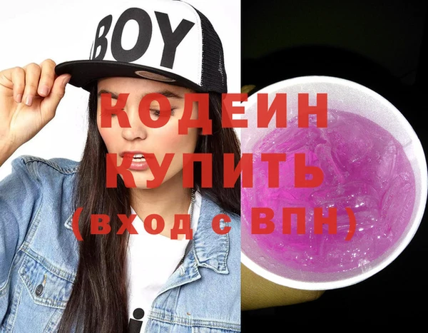 индика Волосово