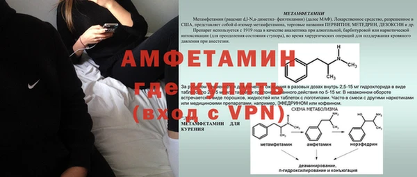 индика Волосово