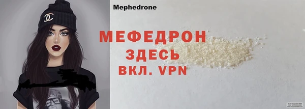 индика Волосово