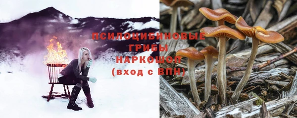MDMA Premium VHQ Волоколамск