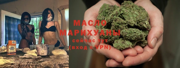 индика Волосово