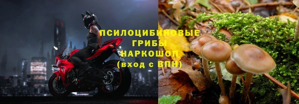 ECSTASY Магадан